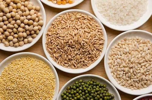 Phong benh Alzheimer / Bs Mike Roizen & Bs Mehmet OZ 